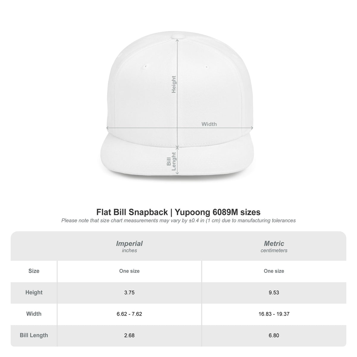 Round Bookcase Logo Flat Bill Snapback Hat